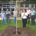 Momento_do_plantio_do_Ip_Amarelo_001